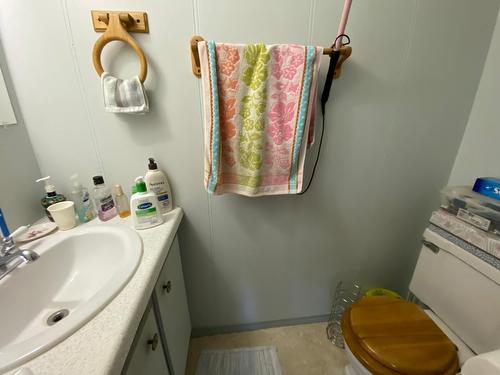 5313 Highway 95, Harrogate, BC - Indoor Photo Showing Bathroom