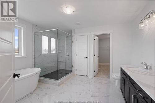 19 Belleview Drive, Cottam, ON - Indoor Photo Showing Bathroom