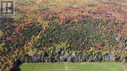 Lot 23-2 De La Paix, Sainte-Marie-De-Kent, NB 