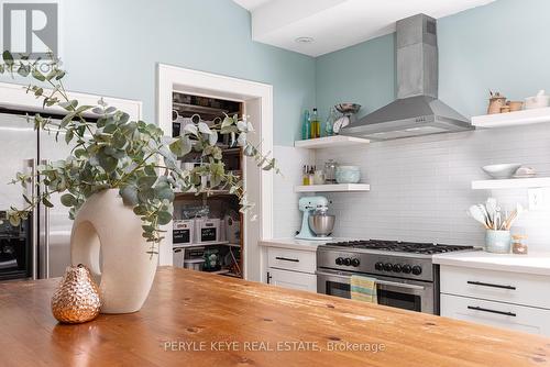 93 Ontario St, Bracebridge, ON - Indoor Photo Showing Kitchen With Upgraded Kitchen
