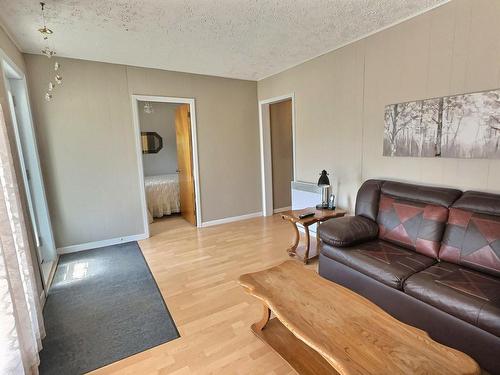 Living room - 11 Rue Maisonneuve, Ville-Marie, QC - Indoor Photo Showing Living Room