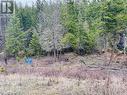 Lot 40 Mountain View Drive, Fairmont Hot Springs, BC 