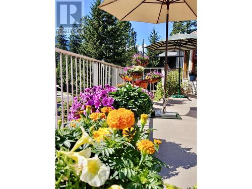 3677 Braelyn Road, Tappen, BC - Outdoor