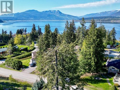 3677 Braelyn Road, Tappen, BC - Outdoor With Body Of Water With View