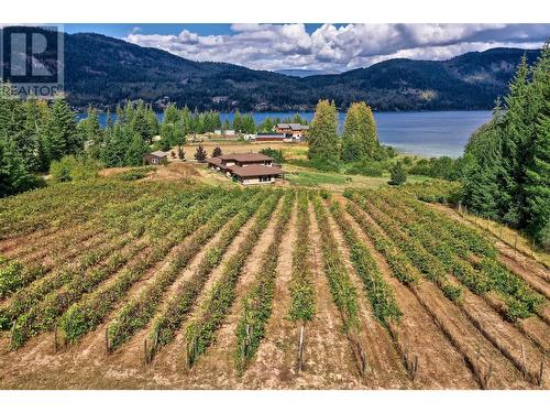 3832 Pakka Road, Sorrento, BC - Outdoor