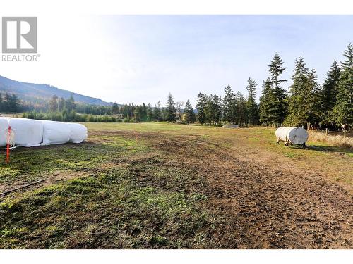 4598 Cedar Hill Road, Falkland, BC - Outdoor With View