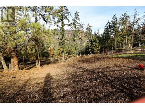 4598 Cedar Hill Road, Falkland, BC - Outdoor With View