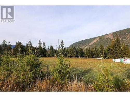 4598 Cedar Hill Road, Falkland, BC - Outdoor With View