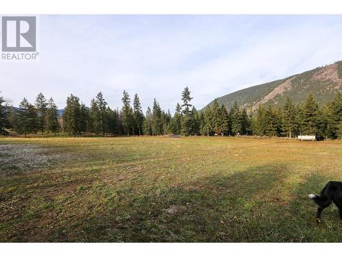 4598 Cedar Hill Road, Falkland, BC - Outdoor With View