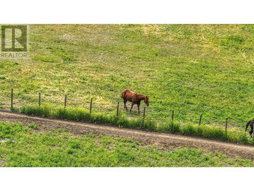 4598 Cedar Hill Road, Falkland, BC - Outdoor