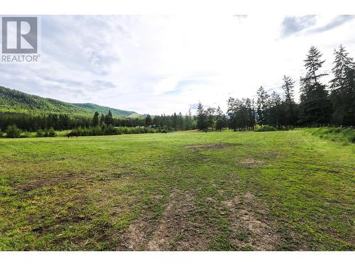 4598 Cedar Hill Road, Falkland, BC - Outdoor With View