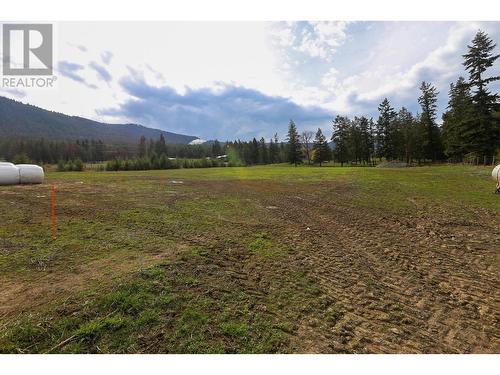 4598 Cedar Hill Road, Falkland, BC - Outdoor With View