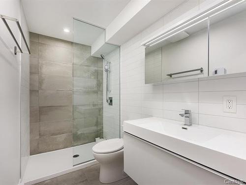 Salle de bains - Th123-338 Rue Eleanor, Montréal (Le Sud-Ouest), QC - Indoor Photo Showing Bathroom