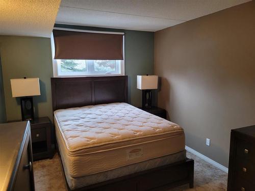 220 500 Toledo, Thunder Bay, ON - Indoor Photo Showing Bedroom