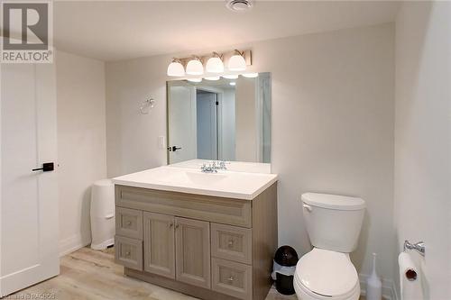 161 Pine View Drive, West Grey, ON - Indoor Photo Showing Bathroom