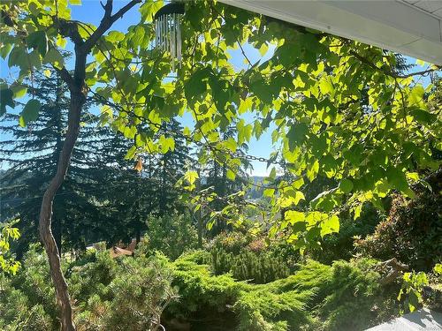 1146 2Nd Ave, Ladysmith, BC - Outdoor With View
