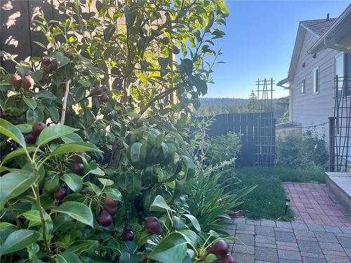1146 2Nd Ave, Ladysmith, BC - Outdoor With View