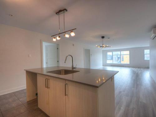 Kitchen - 221-6300 Rue De Chambéry, Brossard, QC - Indoor Photo Showing Kitchen