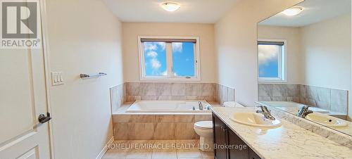 20 July Avenue, Hamilton, ON - Indoor Photo Showing Bathroom