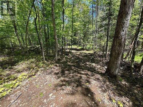 Lot 3 Holmes Road, Admaston, ON 