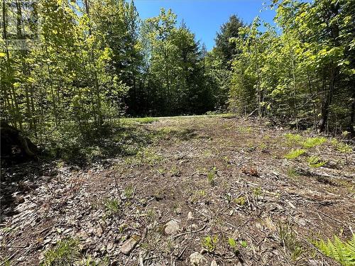 Lot 3 Holmes Road, Admaston, ON 