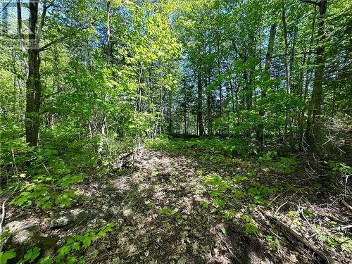 Lot 4 Holmes Road, Admaston, ON 