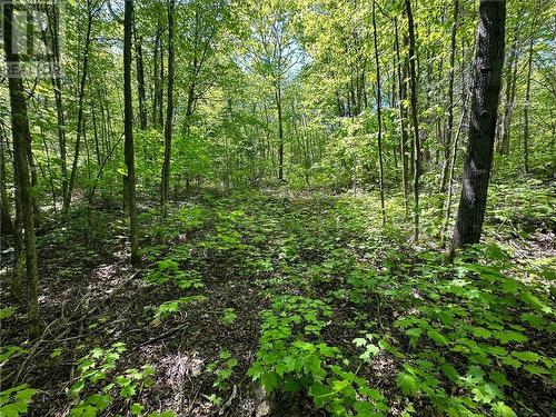 Lot 4 Holmes Road, Admaston, ON 