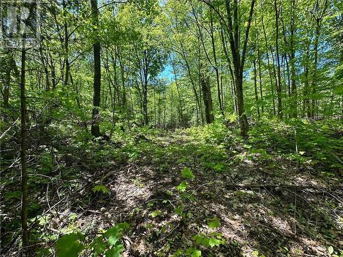 Lot 4 Holmes Road, Admaston, ON 