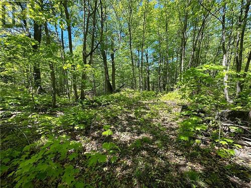 Lot 4 Holmes Road, Admaston, ON 