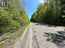 Lot fronts Holmes Rd, which is a paved road - 