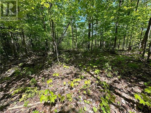 Lot 5 Holmes Road, Admaston, ON 