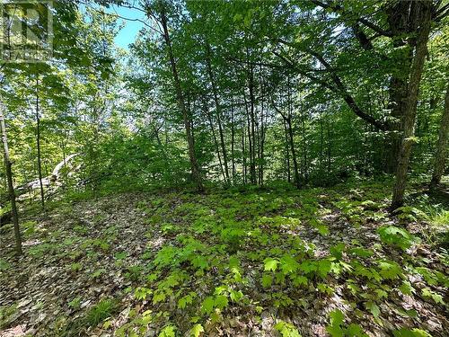 Lot 5 Holmes Road, Admaston, ON 