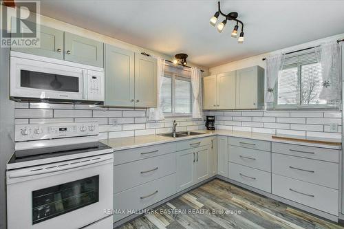 117 Kenedon Drive, Kawartha Lakes, ON - Indoor Photo Showing Kitchen With Double Sink