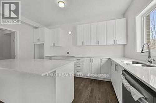 59 Tulip Crescent, Norfolk, ON - Indoor Photo Showing Kitchen With Upgraded Kitchen