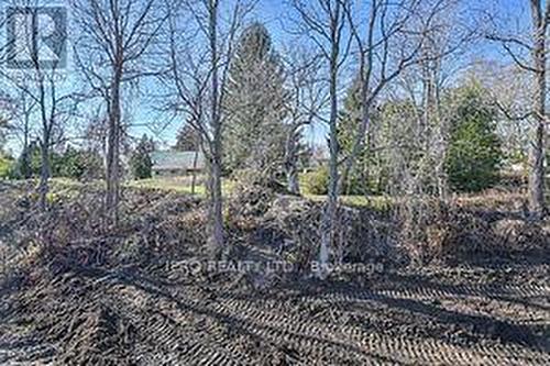 59 Tulip Cres, Norfolk, ON - Outdoor With View
