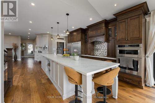 11 Mountain St, Halton Hills, ON - Indoor Photo Showing Kitchen With Upgraded Kitchen