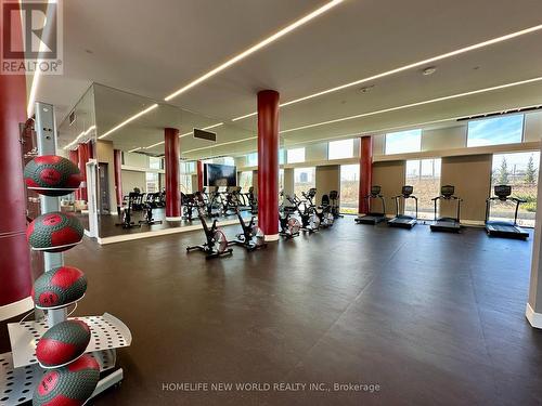 911 - 38 Monte Kwinter Court, Toronto (Clanton Park), ON - Indoor Photo Showing Gym Room