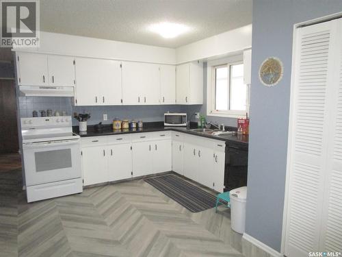 529 6Th Avenue E, Assiniboia, SK - Indoor Photo Showing Kitchen With Double Sink