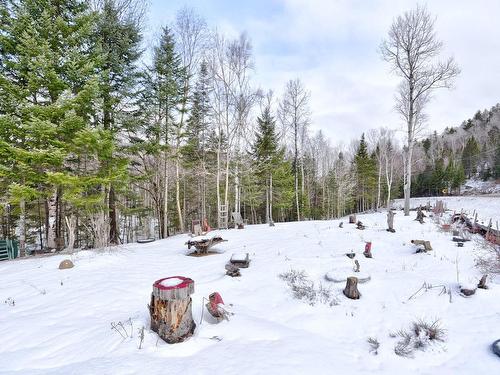 Terre/Terrain - 3845 Ch. Brassard, Saint-Zénon, QC - Outdoor