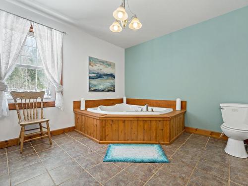 Salle de bains - 23  - 23A Ch. Du Lac-Allard, Lac-Saguay, QC - Indoor Photo Showing Bathroom