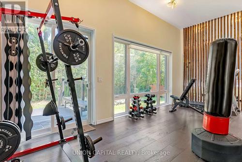 12 Alamosa Drive, Toronto, ON - Indoor Photo Showing Gym Room
