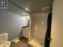 Bsment - 41 Dexter Street, St. Catharines, ON  - Indoor Photo Showing Bathroom 