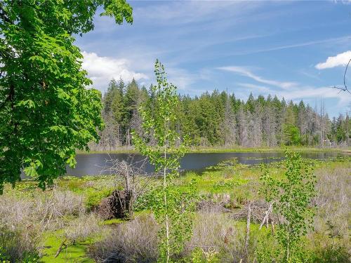 4061 Cowichan Lake Rd, Duncan, BC - Outdoor With View