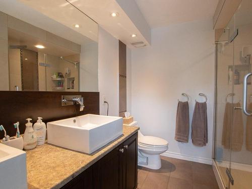 Salle de bains - 18 Av. De Lansdowne Gardens, Pointe-Claire, QC - Indoor Photo Showing Bathroom