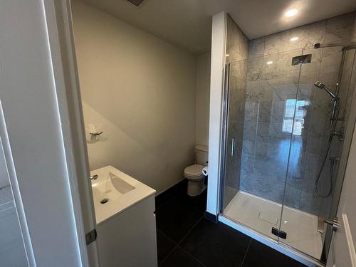 Ensuite bathroom - 401-3980 Boul. St-Elzear O., Laval (Chomedey), QC - Indoor Photo Showing Bathroom