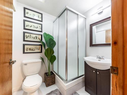 Bathroom - 908 Ch. Des Hirondelles, Saint-Bruno-De-Montarville, QC - Indoor Photo Showing Bathroom