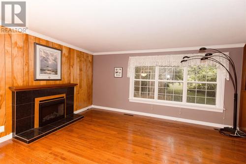 4 Fishers Road, Corner Brook, NL - Indoor Photo Showing Living Room With Fireplace