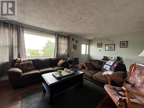 1 Chestnut Place, Grand Falls-Windsor, NL - Indoor Photo Showing Living Room