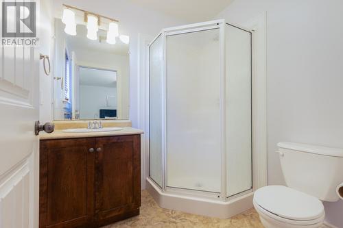 6 White Ash Drive, St. Philip'S, NL - Indoor Photo Showing Bathroom