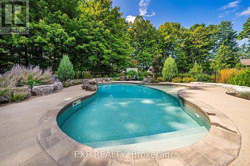 18 Black Creek Trail, Springwater, ON - Outdoor With In Ground Pool With Backyard